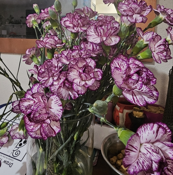 Meet your Posher, Ruth - Picture 5 of 5